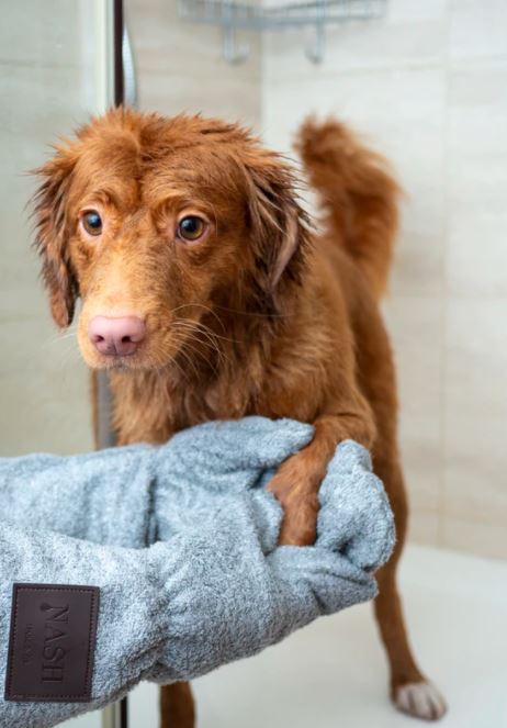 Can I Use Baby Shampoo on my Puppy?